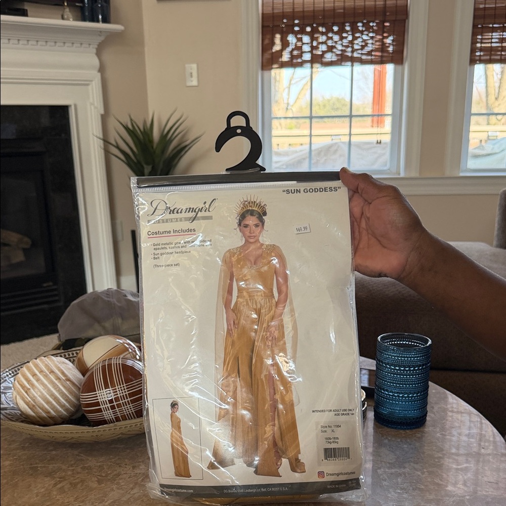 Dreamgirl Gold Sun Goddess Costume